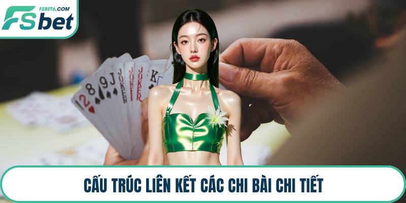Cấu trúc liên kết các chi bài chi tiết