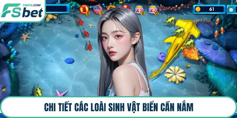 Chi tiết các loài sinh vật biển cần nắm